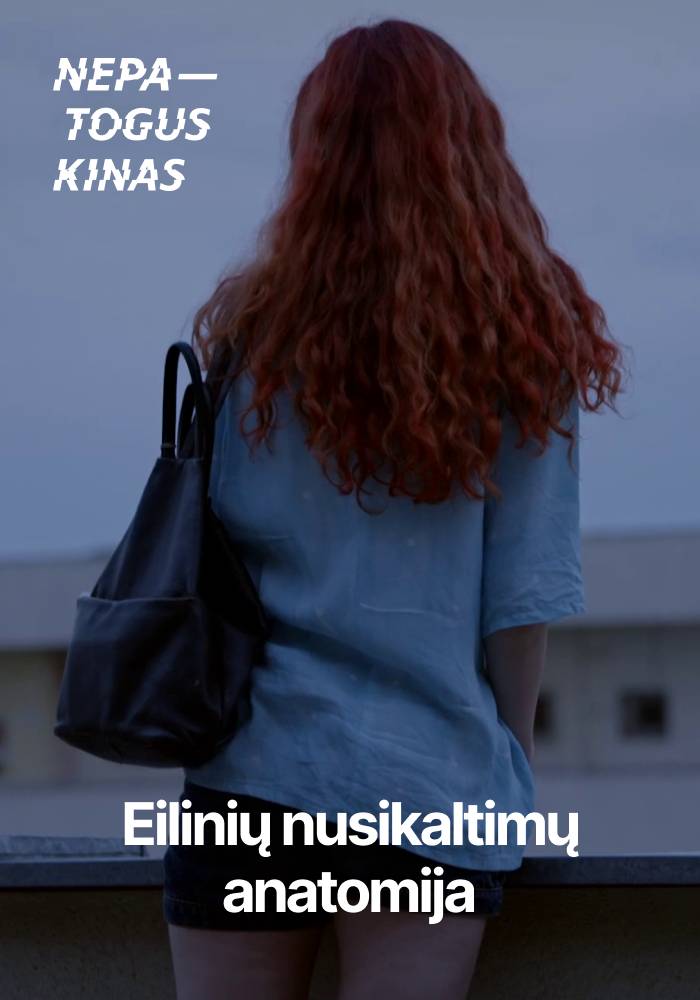 NK'26: Eilinių nusikaltimų anatomija