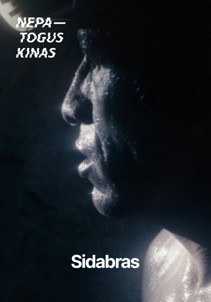 NK'26: Sidabras